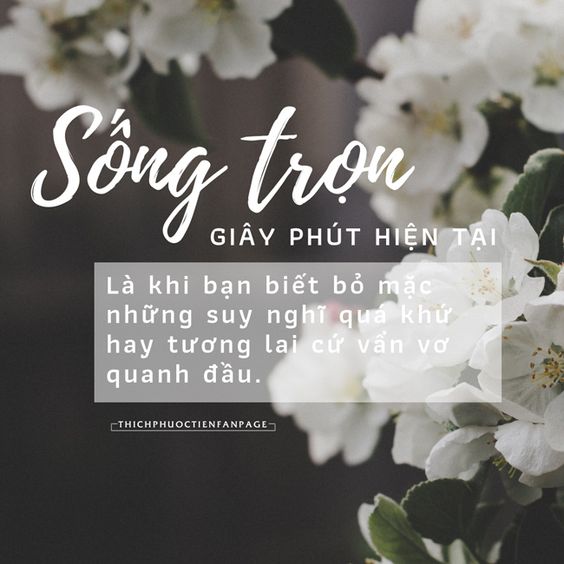 song-trong-chanh-niem