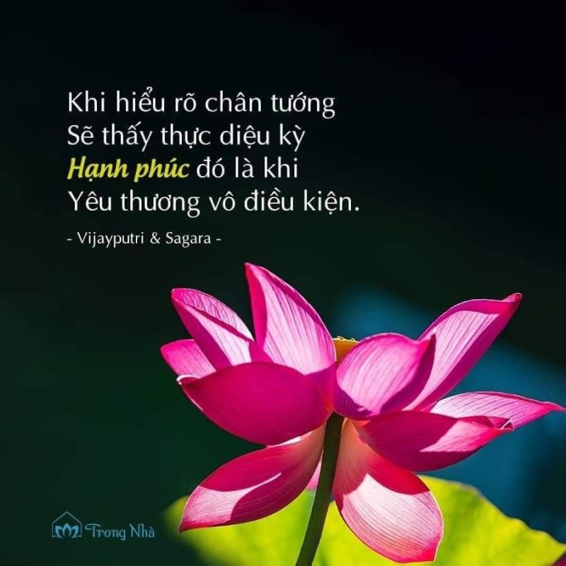 Tâm Chứa Điều Gì, Cuộc Đời Sẽ Kết Duyên Với Điều Đó